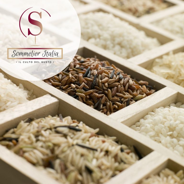 rice sommelier (1)