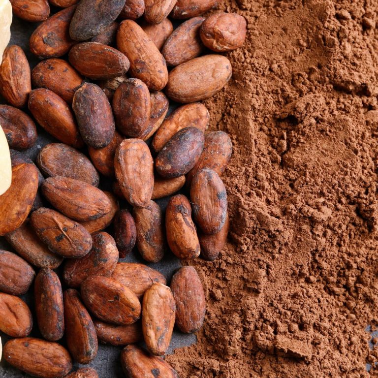 cacao