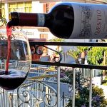Il Falerno Qæstio visto attraverso gli occhi del Sommelier Francesco Di Gaetano