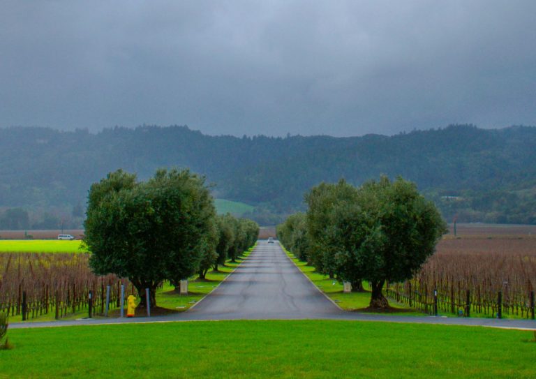masterclass napa valley opus one