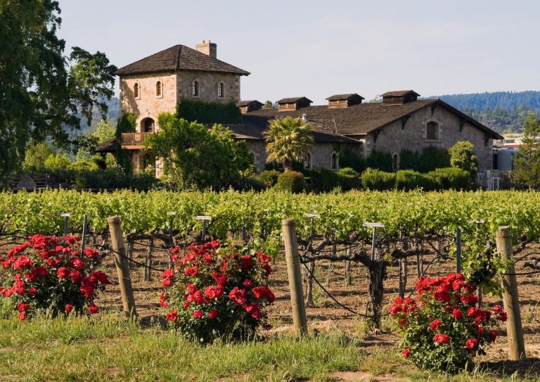 napa valley