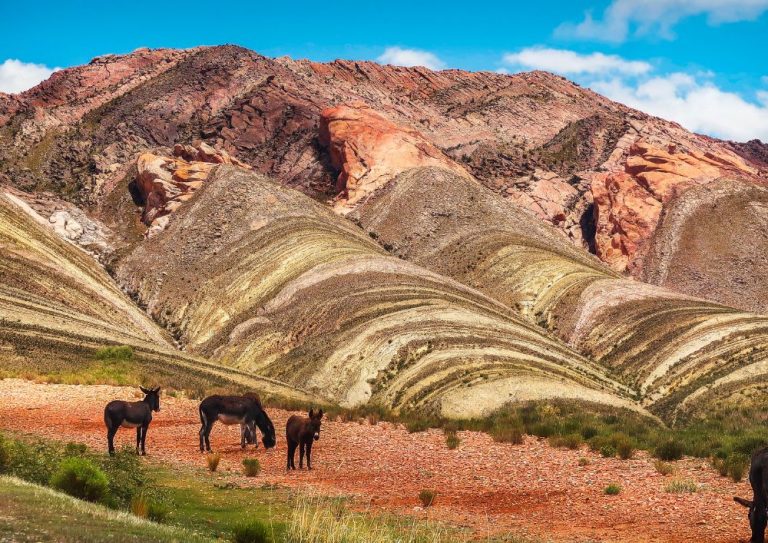 argentina (1)