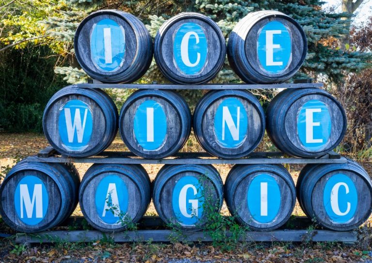 ice wine canada (5)