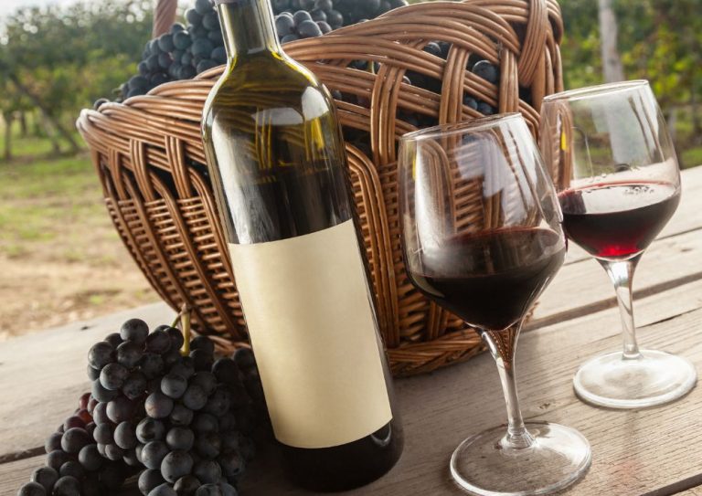 masterclass syrah (3)