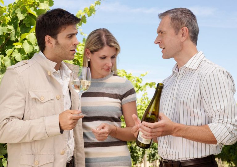 winery tour guide (4)