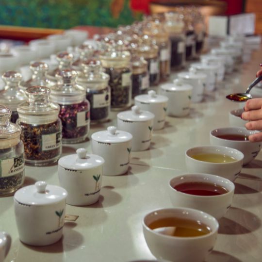 tea sommelier (3)