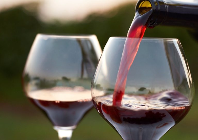 vino valpolicella