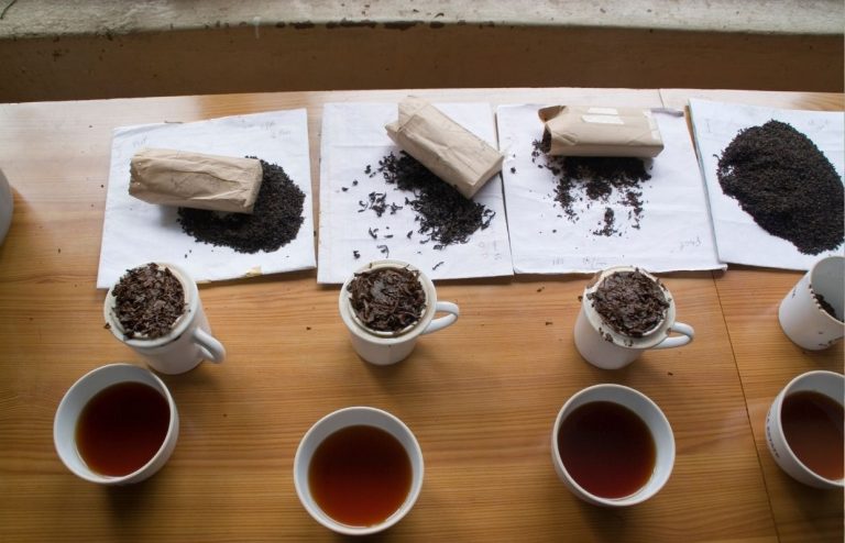 corso tea ambassador